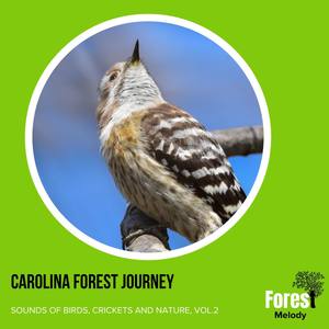 Carolina Forest Journey - Sounds of Birds, Crickets and Nature, Vol.2