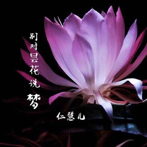 别对昙花说梦