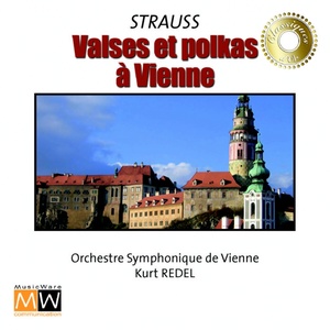 Valses et Polkas à Vienne