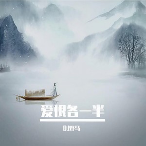 广寒谣 (DJ野马版)封面