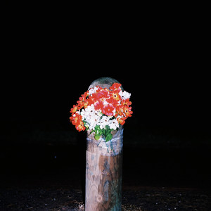 Love Won't Last (Explicit)