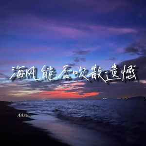 海风能否吹散遗憾