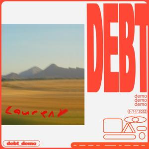debt_demo