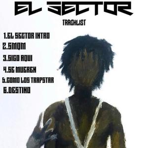 El SECTOR