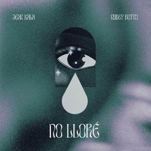 NO LLORÉ (Explicit)