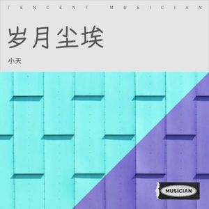 岁月尘埃封面
