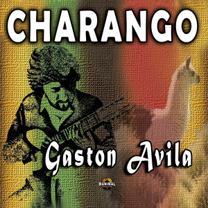 Charango