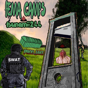 Fema Camps