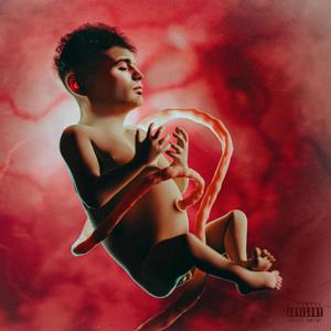 Copyright (Explicit)