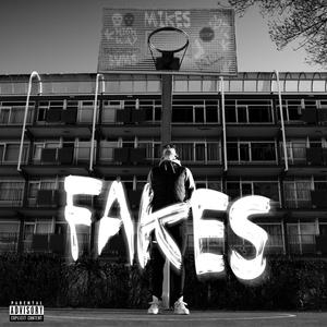 Fakes (Explicit)