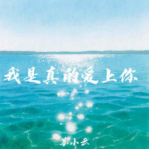 我是真的爱上你 ( 你有一双会说话的眼睛)