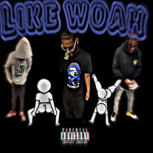 Like Woah (feat. Dee Loww & Kp Loww) (Explicit)