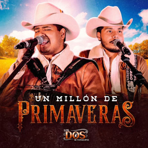 Un Millón De Primaveras (En Vivo)