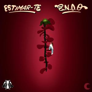 ESTIMAR-TE (feat. La Loquera)