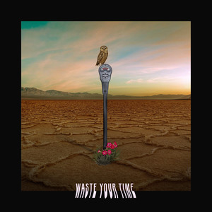 Waste Your Time (Explicit)