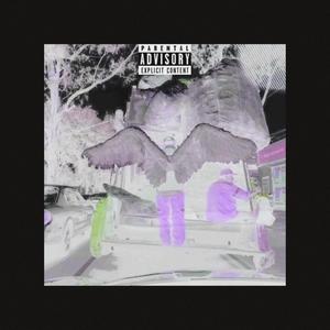 XANXUS.CC-苍蝇人 (安璞 / HD-crew remix)