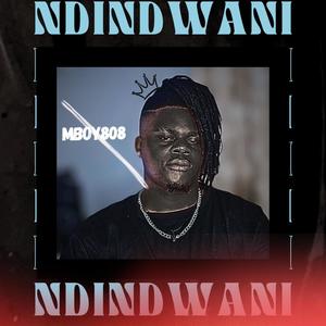 Ndindwani (Explicit)