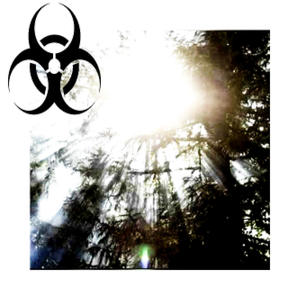 soulfinder (feat. äRA)