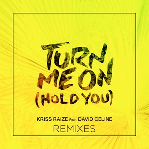 Turn Me on (Hold You) (Rico Bernasconi Remix)