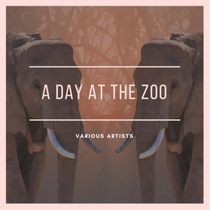 A Day at the Zoo