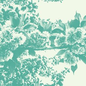 Baby were just the same (Explicit)