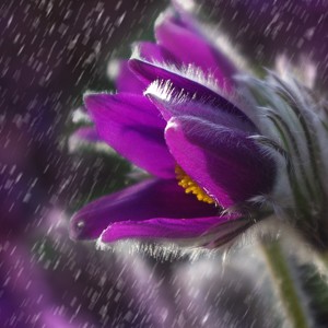 Loopable Rain Sounds - Chillout Tracks to Relax