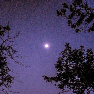 Mindless Mind (Explicit)