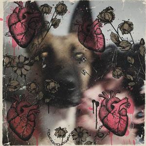 AMOR DE UNA ADMINSTRACIÓN MARCHITA (Explicit)