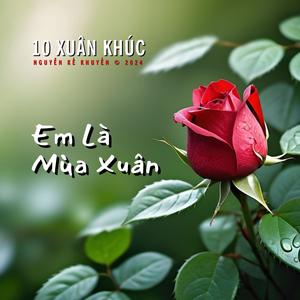 Em Là Mùa Xuân