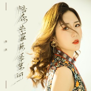 陪你去草原看星河 (DJ版)