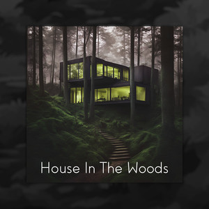 House In The Woods