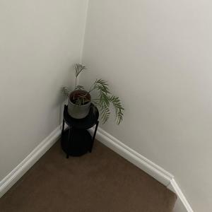 i’ll be forgotten (Explicit)