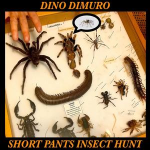 Short Pants Insect Hunt