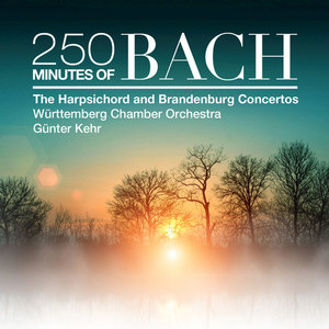 Brandenburg Concerto No. 3 in G Major, BWV 1048 - II. Adagio