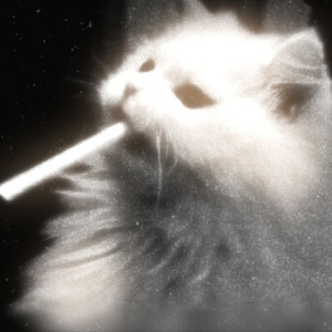 New Jeans (COVER版)