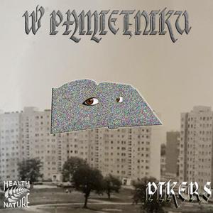 w pamiętniku (Explicit)