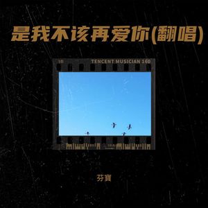 是我不该再爱你