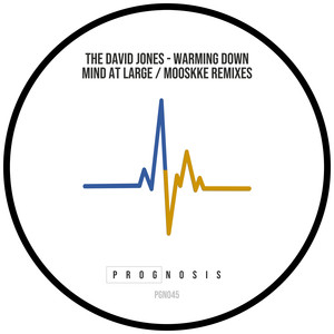 Warming Down (Mind At Large Warming Up Remix)