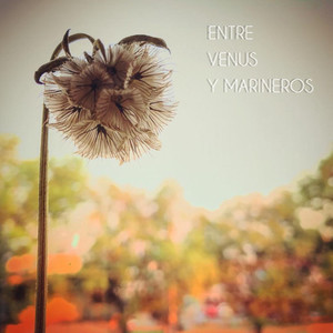 Ente Termodinámico Regido Por La Gravedad