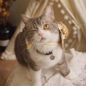 【魔道祖师】相对忘机