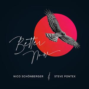 Better Now (feat. Steve Pontex)