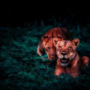 Slide No Slipping (Explicit)