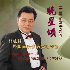 Son tutta duolo (我多么痛苦-意文版)