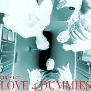 Love 4 Dummies (Explicit)