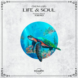 Looking at Life (Tojogo Remix)