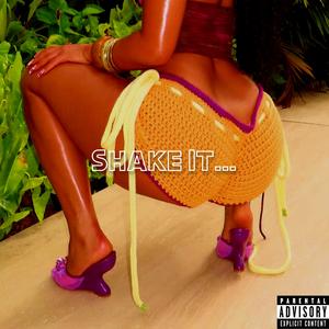 Shake It... (Explicit)
