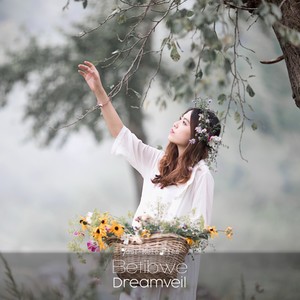 Dreamveil (Original Mix)