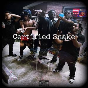 Certified Snake (Mando Comin Home) [Explicit]