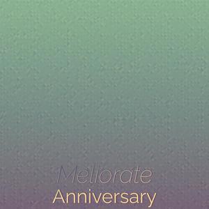 Meliorate Anniversary