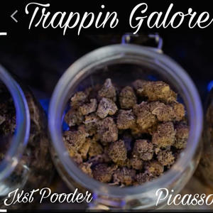 Trappin galore (Explicit)